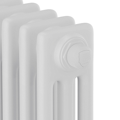 Стальной трубчатый радиатор отопления Royal Thermo Insignia VC3030 - 22 секции (белый)